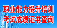 職業(yè)能力提升培訓(xùn)考試成績(jī)證書(shū)查詢(xún)